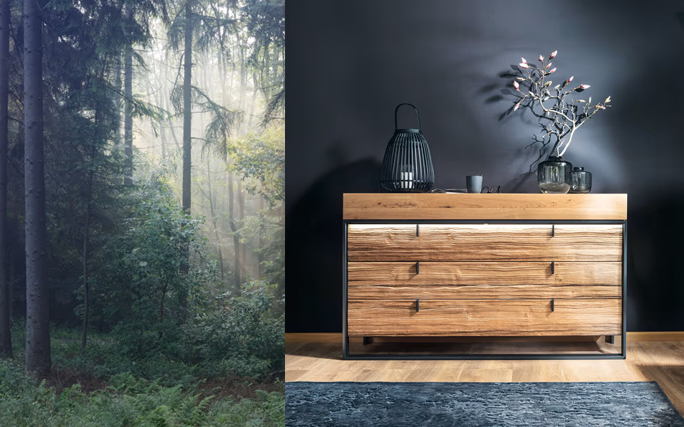 Waldbild neben einem aus Holz gefertigten Möbelstück.