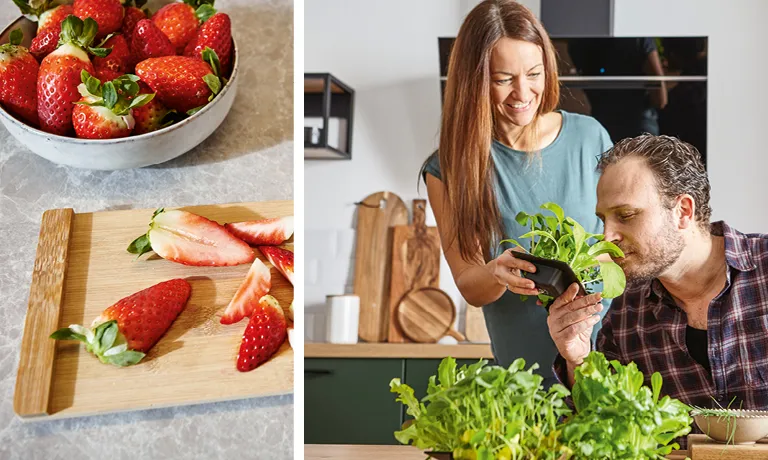 Im Kühlschrank bleiben frische Lebensmittel länger frisch.