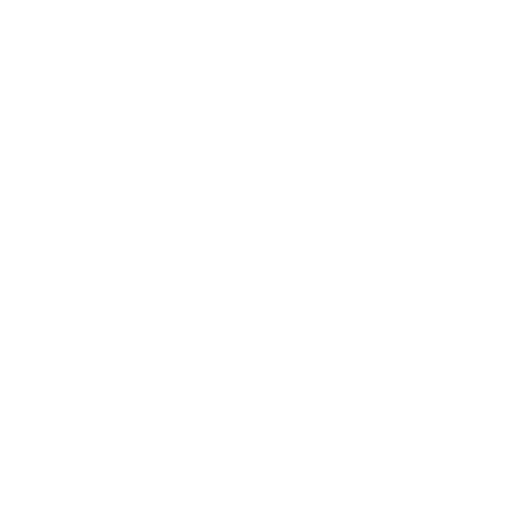 Icon Individuell