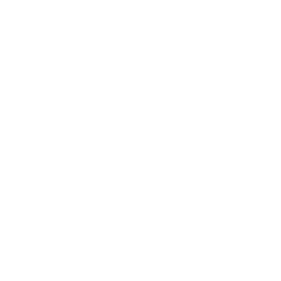 Icon Leihwagen