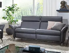 Sofa & Couch