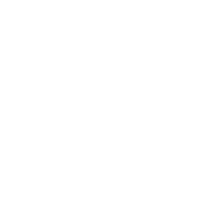 Icon-3D & Aufmaß