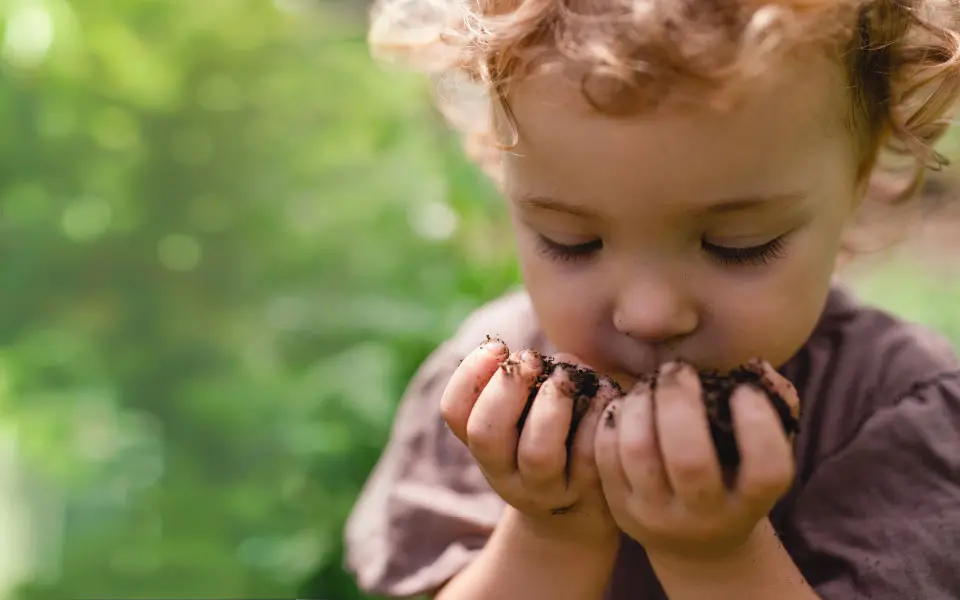 Nachhaltigkeit bei Couchliebe – wertvoll und optimiert