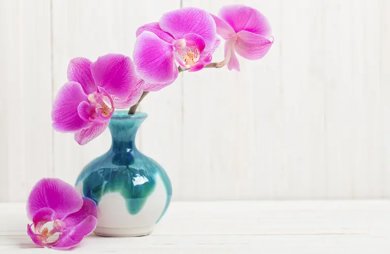 Styles United Esstisch