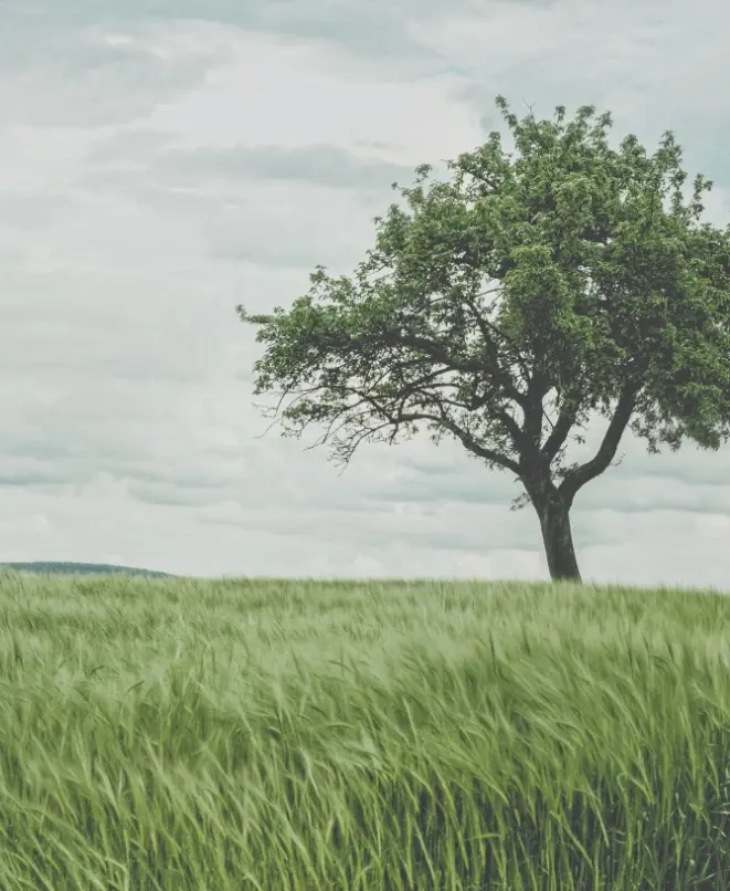 Comfort Republic - Rohstoffe bewahren