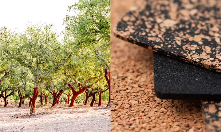 Korkeichen sind die Hauptlieferanten für Kork.