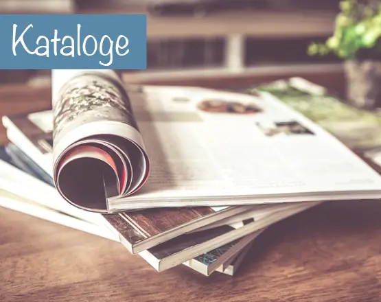 Kataloge