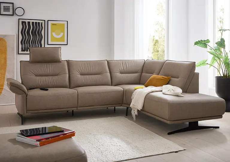 Braunes Ledersofa Musterring