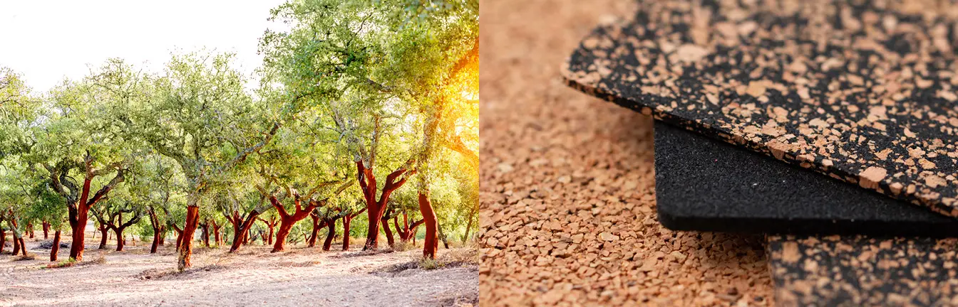 Korkeichen sind die Hauptlieferanten für Kork.