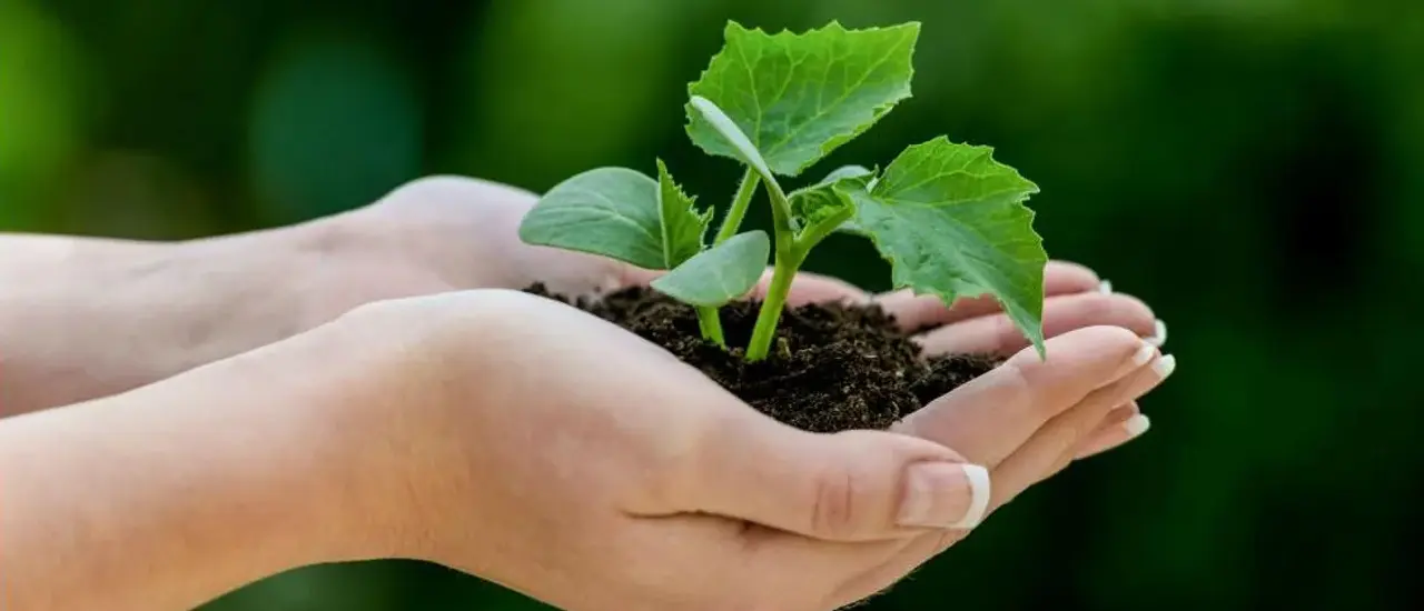 Europa Möbel Verbund