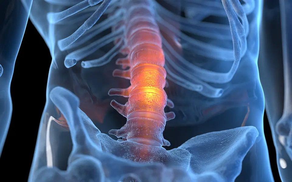 Logo des Europa Möbel Umweltverbundes.