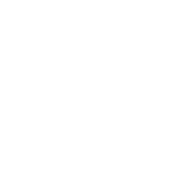 Icon Rundum-Service