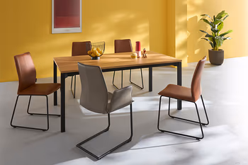 Grauer Freischwinger und braune Schalenstühle um einen Esstisch mit schwarzem Gestell. 