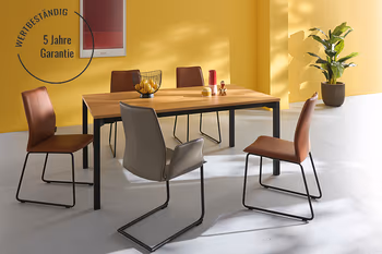 Esstisch Raum.Freunde Alis mit Garantiehinweis.