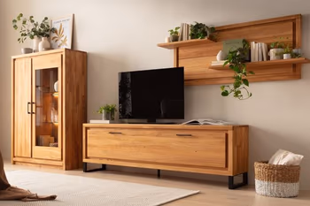 Highboard mit eine Tür mit Glaseinsatz, TV-Bank und Wandreagal aus Holz dekoriert mit Pflanzen und Büchern.