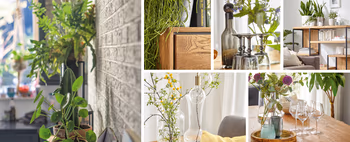 Collage aus 6 Bildern, auf denen viele Zimmerpflanzen und Massivholzmöbel zu sehen sind.