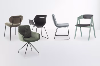 Freisteller der RAUM.FREUNDE Stühle BOUC, TOOON, PELLE und HENRI