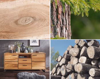 Collage aus vier Bildern, auf denen ein Sideboard aus Massivholz ist und unterschiedliche Varianten von Holz zu sehen sind: Baum, liegende Baumstämme und Querschnitt.