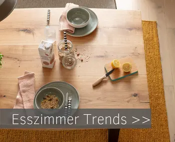 Esszimmer Trends