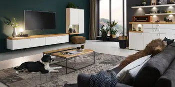 Weisse Wohnwand mit dazugehoerigem Highboard und Regal in modernem Wohnzimmer.