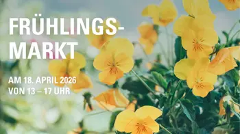 MHS_Aktionskachel_Frühlingsmarkt.jpg