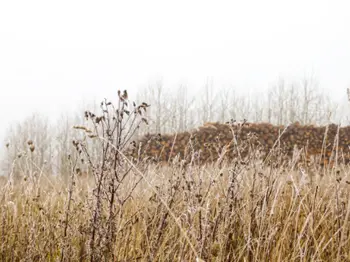 Holzvorrat für die Holzheizung