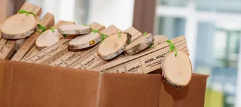 Zollstöcke &amp; Birkenscheiben