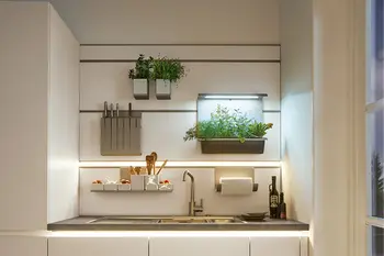 Unterschiedliche Beleuchtungskonzepte in einer weißen Küchenzeile