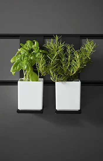 Schwarze Küchenpaneele mit Basilikum und Rosmarin.