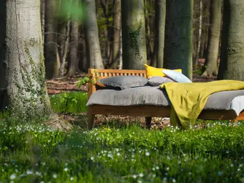 Massivholzbett im Wald