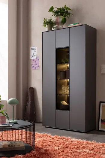 Eine schwarze Vitrine mit Glastür und Innenbeleuchtung