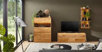 Highboard, TV-Board und Wandregal aus Massivholz mit Pflanzen dekoriert.