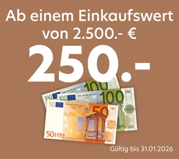 Koenig_Mehrwert-Aktion_LP_Vorteile_25-12_1.png
