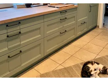 Front einer grünen Küche. Auf dem Boden liegt eine Katze