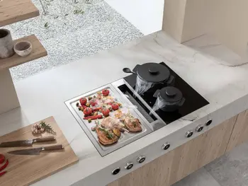 Bora-Professional-Kochfeld-mit-Muldenluefter-und-Tepangrill.jpg