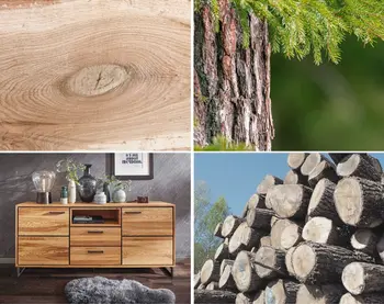 Collage aus vier Bildern, auf denen ein Sideboard aus Massivholz ist und unterschiedliche Varianten von Holz zu sehen sind: Baum, liegende Baumstämme und Querschnitt.