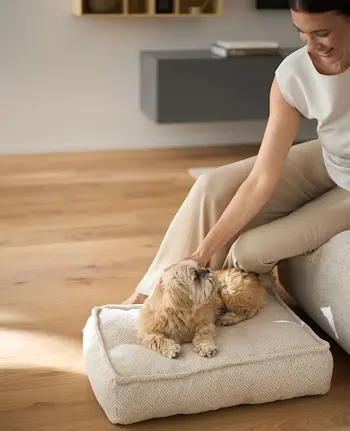Kleiner Hund liegt neben einer Frau auf einem Hundekissen, das passend zum Sofa erhältlich ist.