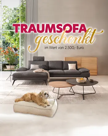 Koenig_Sofa-geschenkt_Slide_26-05_3.png
