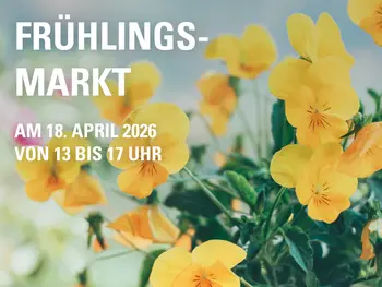 MHS_GMB_800x600px_Frühlingsmarkt.jpg