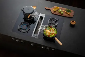 Bora Professional 3.0