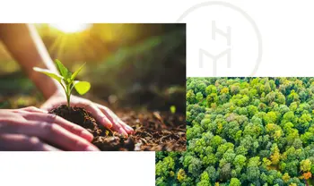 Recycelte Stoffe, nachhaltige Holzmöbel und Umweltschutz