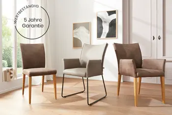 Bild von verschiedenen Varianten des Esszimmerstuhls Global Wohnen Florea mit Garantiehinweis.