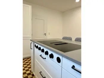 Kochfeld mit Abzug einer Inselküche