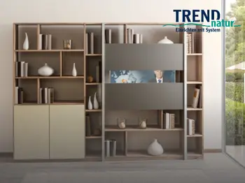 Wohnwand Trend natur