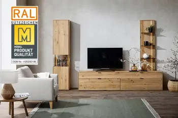 Siegel "Goldene M" auf einem Bild von einer modernen Wohnwand mit rauer Holzoberfläche und Glaselementen in einem modernen Wohnzimmer mit großem Fenster.