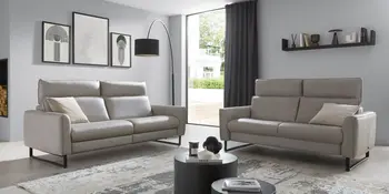 Zwei graue Sofas im Wohnzimmer mit Couchtisch und Teppich.