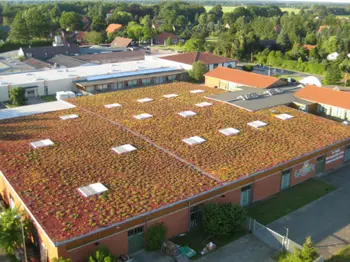 Das Dach vom wöm Naturholzmöbel