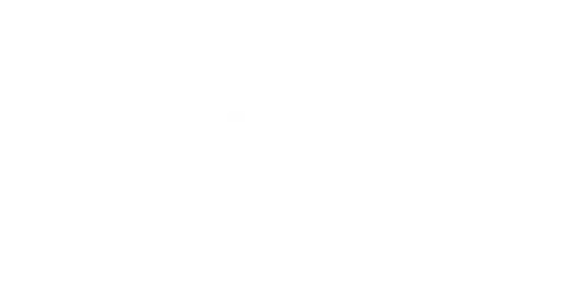 raumplus logo